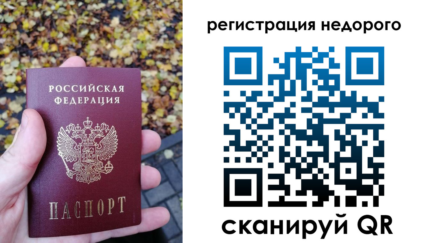 прописка для школы в Петровске